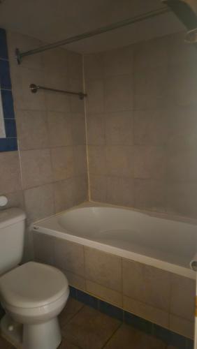 2 bedrooms apartment for rent in Montreal - Rosemont–La Petite-Patrie — photo 2