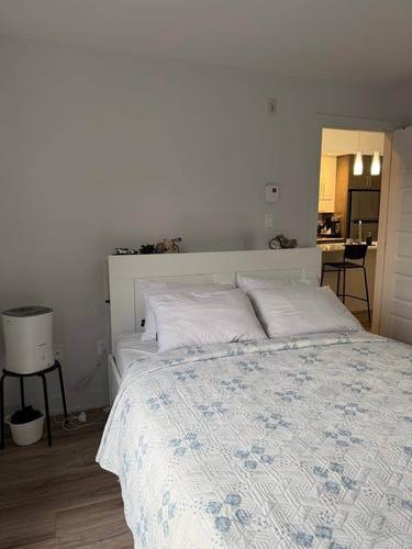 Appartement de 1 chambre à louer à Gatineau — photo 9