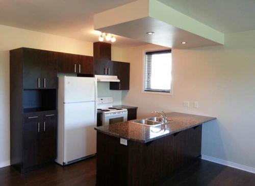 Appartement de 1 chambre à louer à Gatineau — photo 3