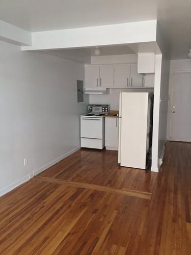 1 bedroom apartment for rent in Montreal - Rosemont–La Petite-Patrie — photo 2