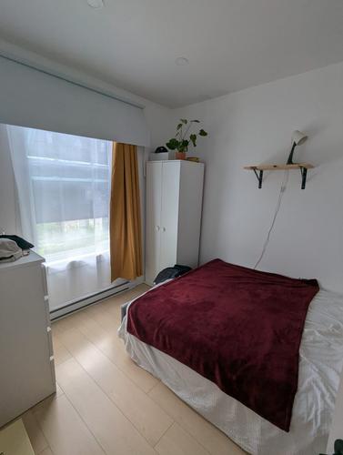2 bedrooms apartment for rent in Montreal - Le Plateau-Mont-Royal — photo 3
