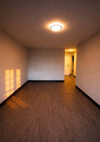 1 bedroom apartment for rent in Montreal - Le Plateau-Mont-Royal — photo 7