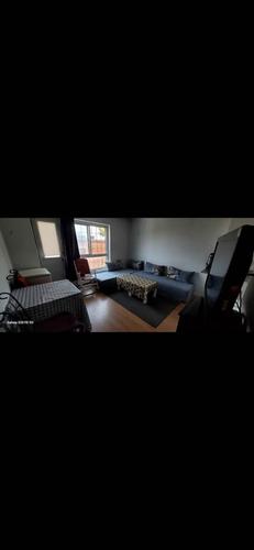 1 bedroom apartment for rent in Montreal - Rosemont–La Petite-Patrie — photo 6