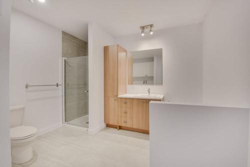 Appartement de 3 chambres à louer à Québec - La Haute-Saint-Charles — photo 9