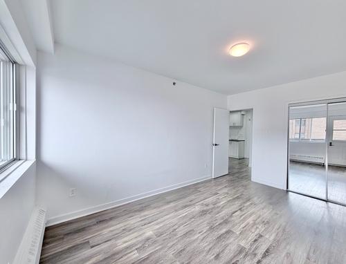1 bedroom apartment for rent in Montreal - Rosemont–La Petite-Patrie — photo 5