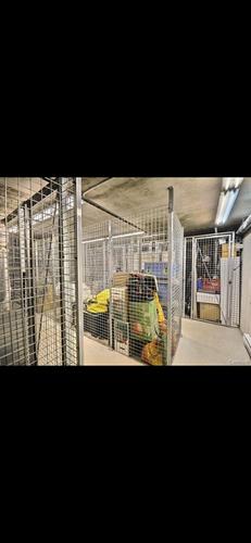 1 bedroom apartment for rent in Longueuil — photo 5