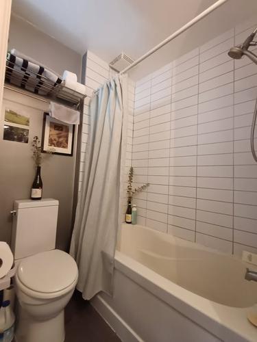 1 bedroom apartment for rent in Montreal - Le Plateau-Mont-Royal — photo 18