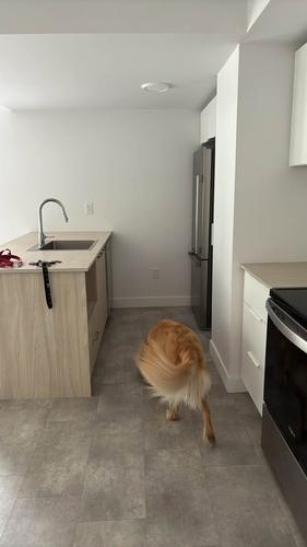 Appartement de 2 chambres à louer à Québec - Sainte-Foy–Sillery–Cap-Rouge — photo 9