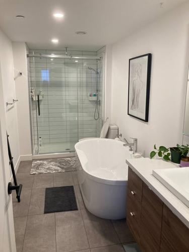 Appartement de 3 chambres à louer à Québec - Sainte-Foy–Sillery–Cap-Rouge — photo 10