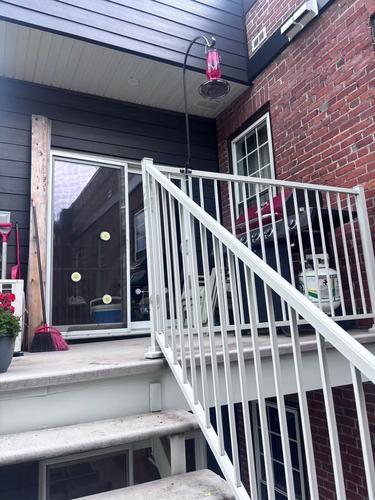 Appartement de 2 chambres à louer à Québec - La Cité-Limoilou — photo 18