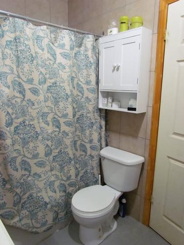 Appartement de 2 chambres à louer à Montreal - Le Plateau-Mont-Royal — photo 4