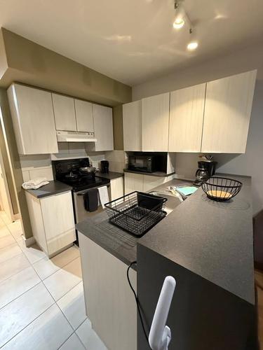 Studio for rent in Montreal - Le Plateau-Mont-Royal — photo 3