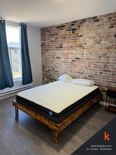 Appartement de 5 chambres à louer à Montreal - Le Plateau-Mont-Royal — photo 11