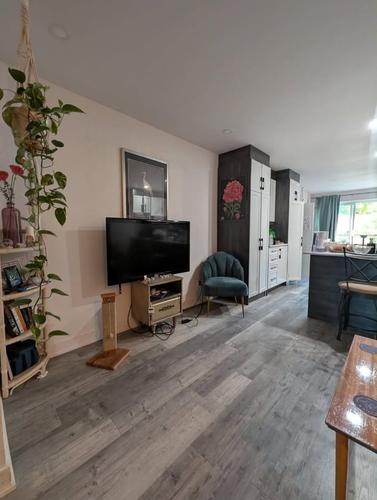 1 bedroom apartment for rent in Montreal - Le Sud-Ouest — photo 17