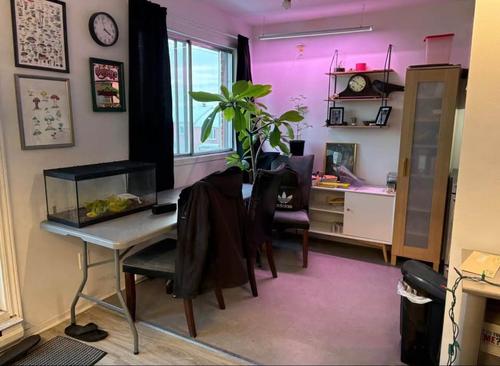 1 bedroom apartment for rent in Longueuil — photo 4