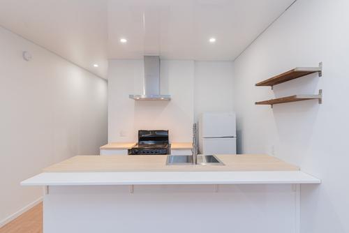 1 bedroom apartment for rent in Montreal - Rosemont–La Petite-Patrie — photo 5