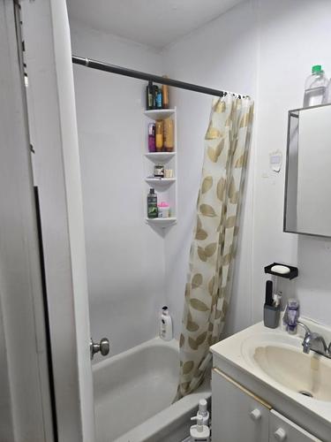 Appartement de 1 chambre à louer à Montreal - Le Plateau-Mont-Royal — photo 4