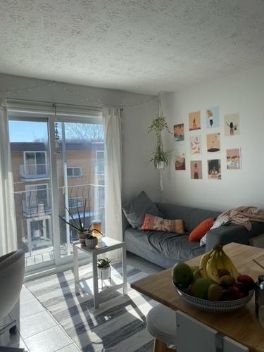 Appartement de 1 chambre à louer à Sherbrooke — photo 4