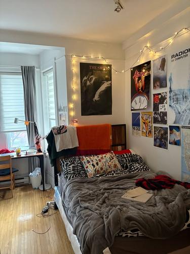 4 bedrooms apartment for rent in Montreal - Le Plateau-Mont-Royal — photo 4