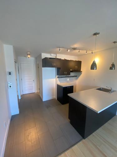 1 bedroom apartment for rent in Montreal - Rosemont–La Petite-Patrie — photo 2