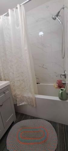 Appartement de 2 chambres à louer à Montreal - Le Plateau-Mont-Royal — photo 9