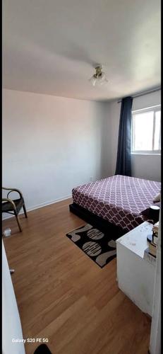1 bedroom apartment for rent in Montreal - Rosemont–La Petite-Patrie — photo 2