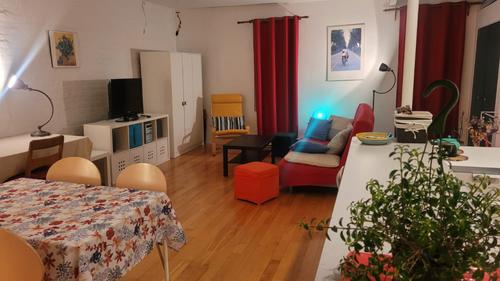 1 bedroom apartment for rent in Montreal - Le Plateau-Mont-Royal — photo 5
