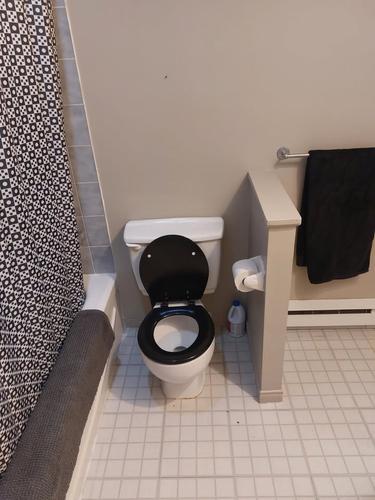 Appartement de 1 chambre à louer à Québec - La Cité-Limoilou — photo 13