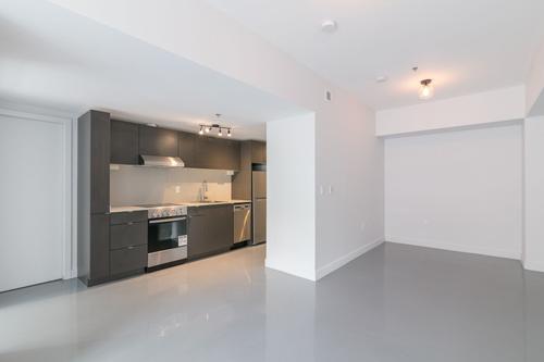 1 bedroom apartment for rent in Montreal - Le Plateau-Mont-Royal — photo 3