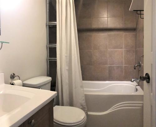 1 bedroom apartment for rent in Montreal - Le Plateau-Mont-Royal — photo 10