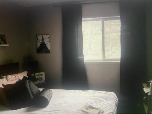 2 bedrooms apartment for rent in Montreal - Ville-Marie — photo 11