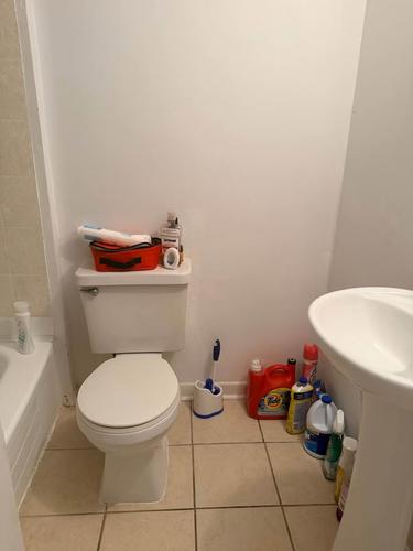 Studio à louer à Montreal - Le Plateau-Mont-Royal — photo 3