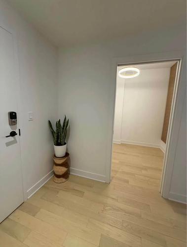 Appartement de 2 chambres à louer à Longueuil — photo 4