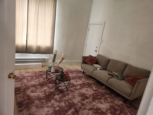 Appartement de 1 chambre à louer à Gatineau — photo 4