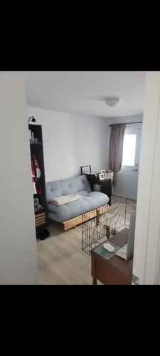 Appartement de 2 chambres à louer à Québec - La Cité-Limoilou — photo 5