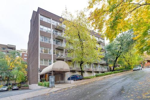 Studio for rent in Montreal - Ville-Marie — photo 9