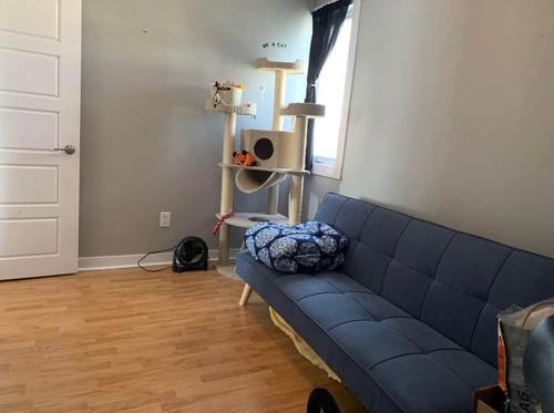 2 bedrooms apartment for rent in Gatineau — photo 6
