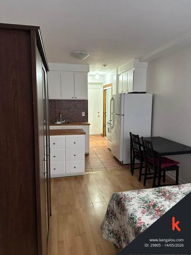 Studio for rent in Montreal - Le Plateau-Mont-Royal — photo 9