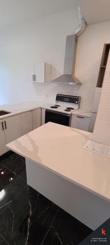 2 bedrooms apartment for rent in Montreal - Le Plateau-Mont-Royal — photo 4
