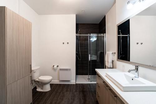 Appartement de 1 chambre à louer à Québec - Les Rivières — photo 6