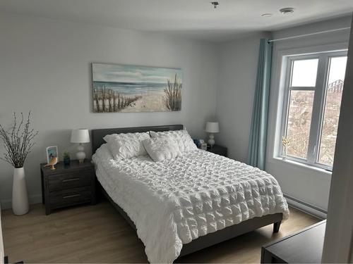 1 bedroom apartment for rent in Lévis — photo 5