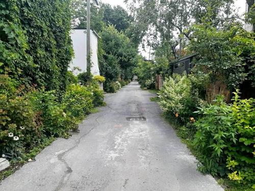 2 bedrooms apartment for rent in Montreal - Le Plateau-Mont-Royal — photo 4