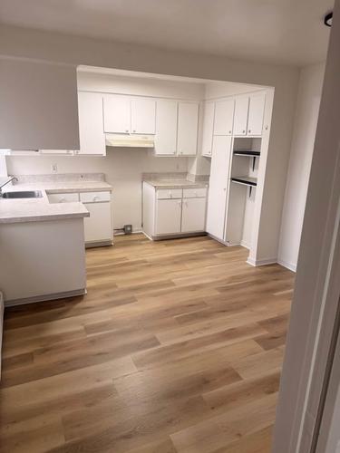 Appartement de 1 chambre à louer à Montreal - Saint-Laurent — photo 4