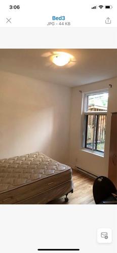5 bedrooms apartment for rent in Montreal - Le Plateau-Mont-Royal — photo 14