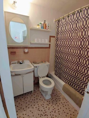 Appartement de 1 chambre à louer à Montreal - Le Plateau-Mont-Royal — photo 5