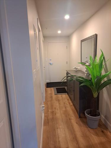 Appartement de 1 chambre à louer à Lévis — photo 3