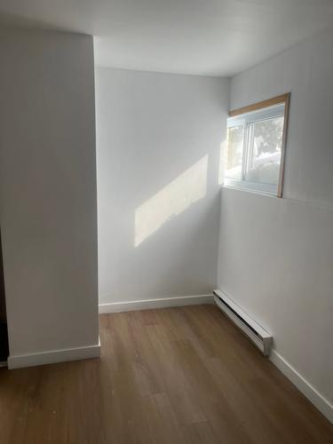 1 bedroom apartment for rent in Montreal - Le Sud-Ouest — photo 3