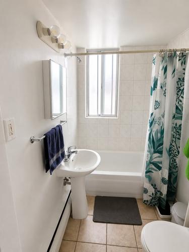 1 bedroom apartment for rent in Longueuil — photo 3