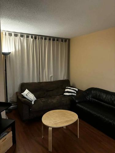 1 bedroom apartment for rent in Montreal - Ville-Marie — photo 8