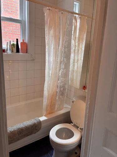 2 bedrooms apartment for rent in Montreal - Le Plateau-Mont-Royal — photo 13